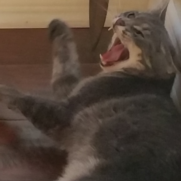 Meet your Posher, Amanda - Picture 13 of 16